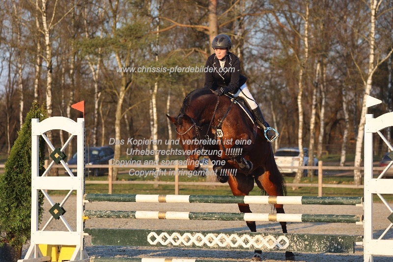 Preview carola hassler mit equeena IMG_0150.jpg